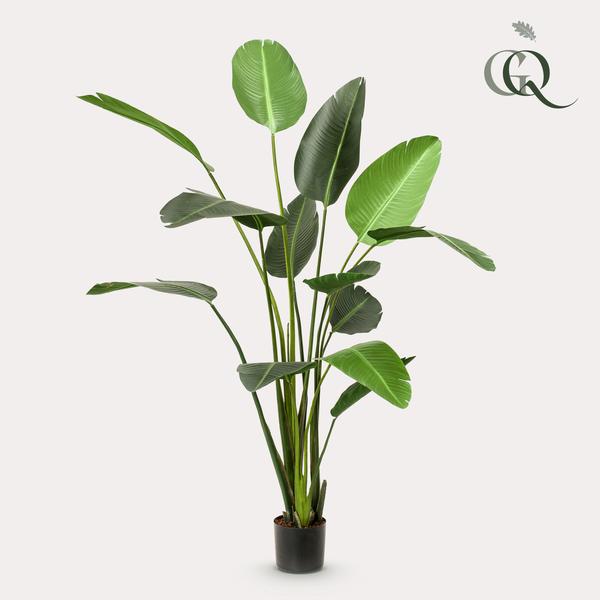 Plante artificielle - Strelitzia Nicolai - Fleur d'oiseau de paradis - 230 cm