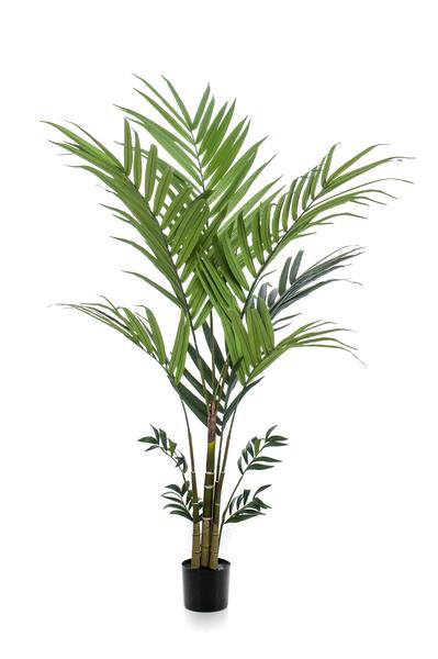 Plante artificielle - Kentia - Palmier Kentia - 180 cm