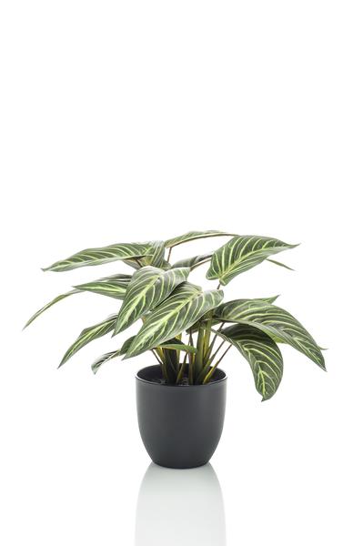 Plante artificielle - Calathea Zebrina - Plante d'ombre - 38 cm