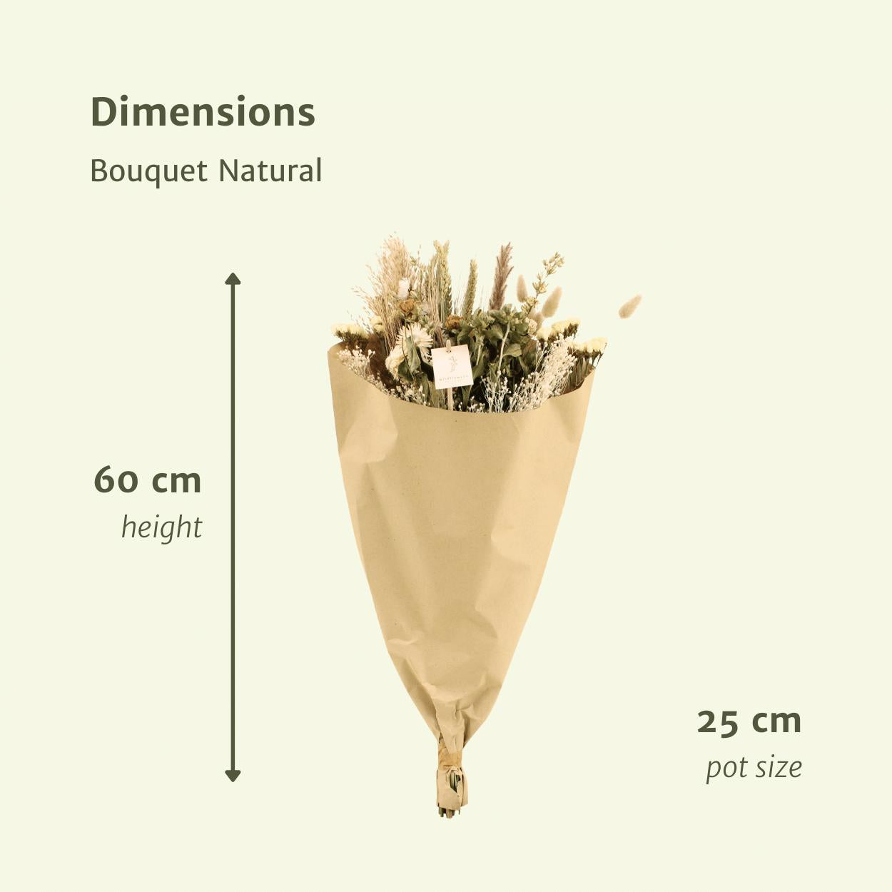 Grand bouquet de fleurs séchées - Naturel