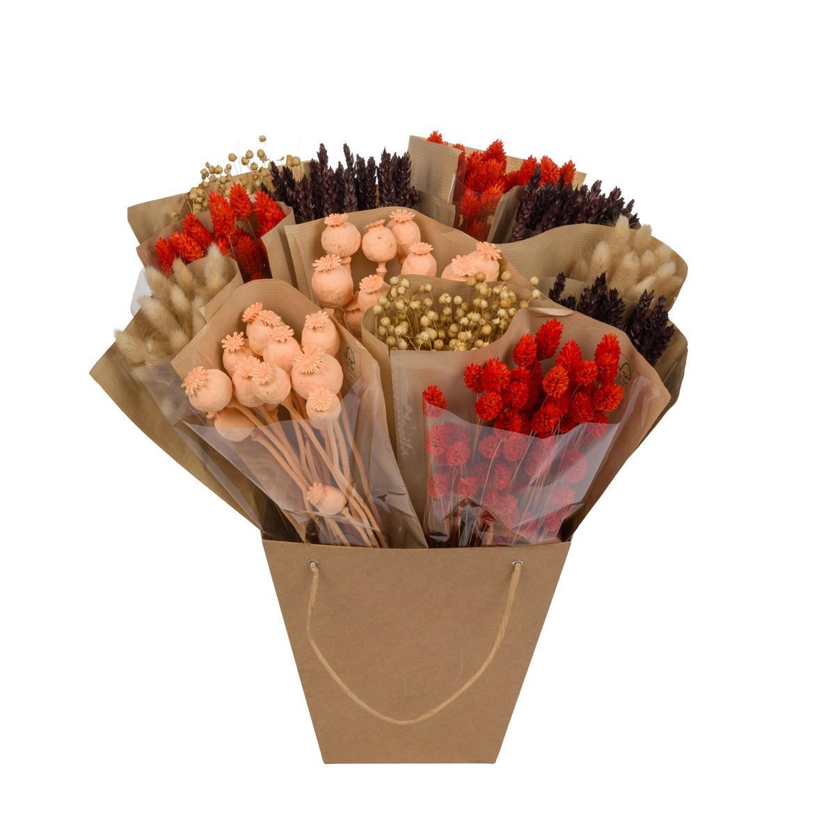 Fleurs séchées - Mix Mono séché - Ambre foncé - ↕50cm