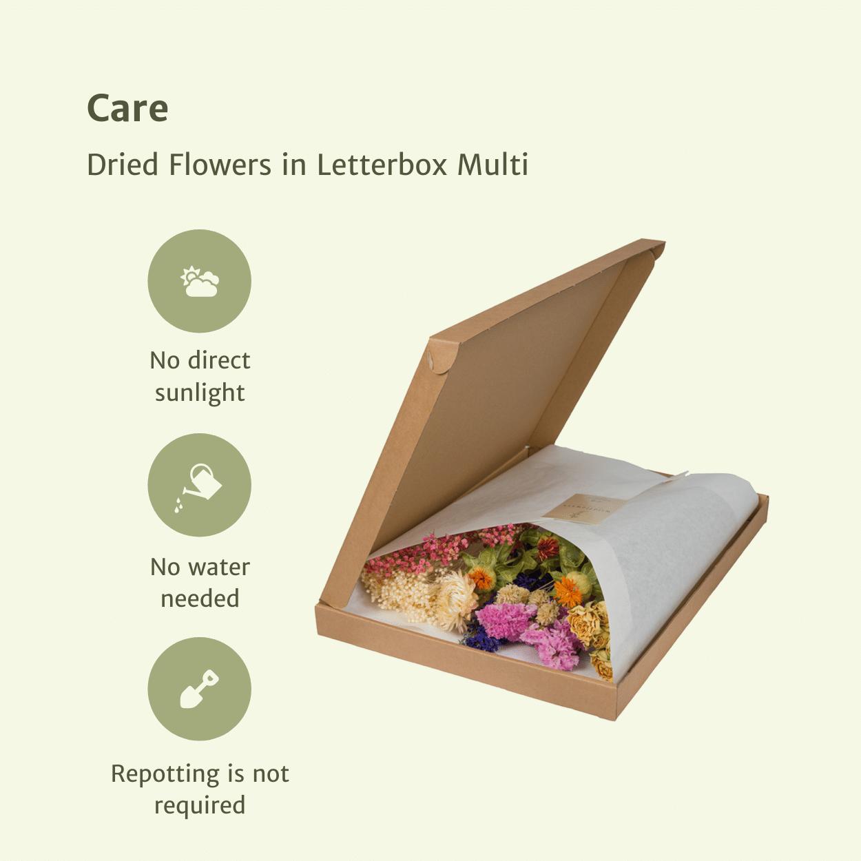Fleurs séchées dans une boîte aux lettres - Mélange coloré