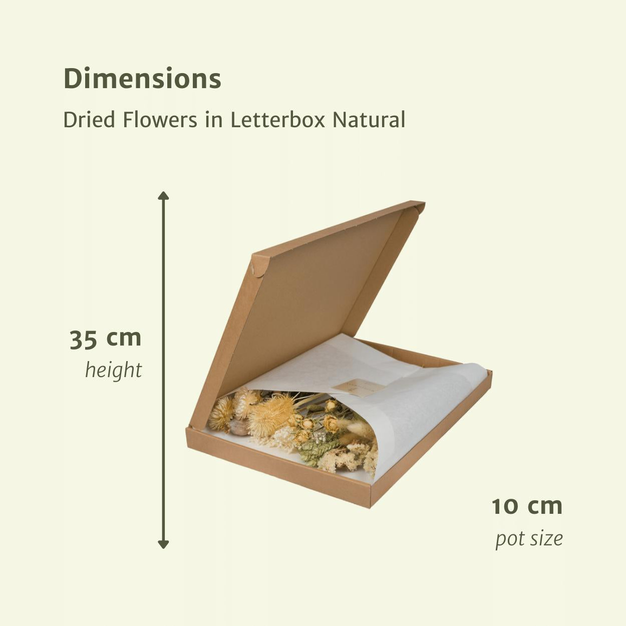 Droogbloemen in Letterbox - Naturel Tinten
