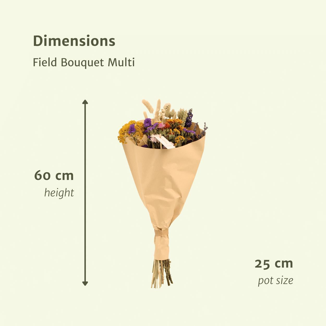 Grand bouquet de fleurs séchées - Mélange coloré