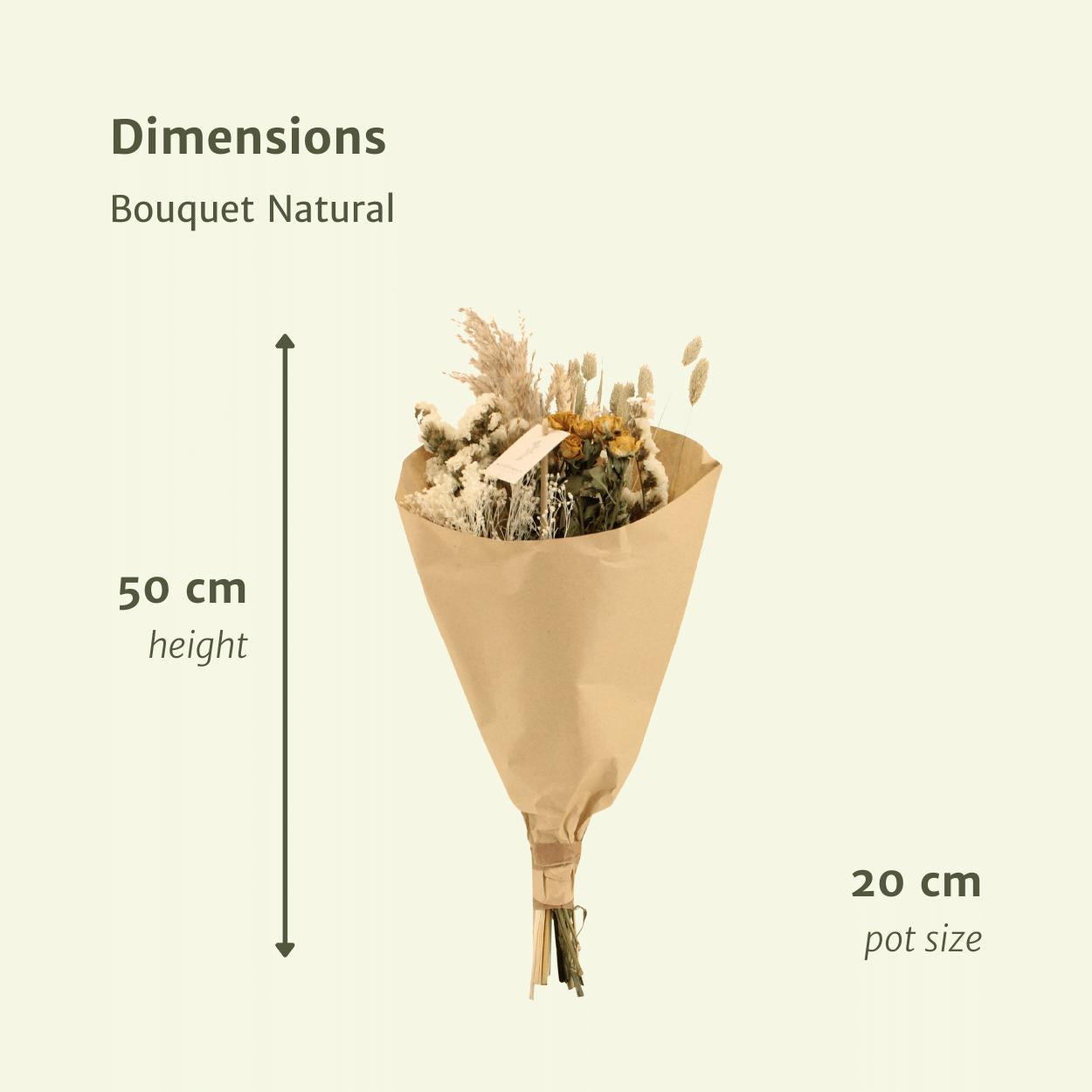 Droogbloemen Veld Boeket Medium - Naturel
