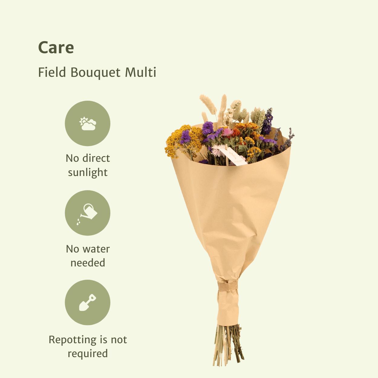 Grand bouquet de fleurs séchées - Mélange coloré