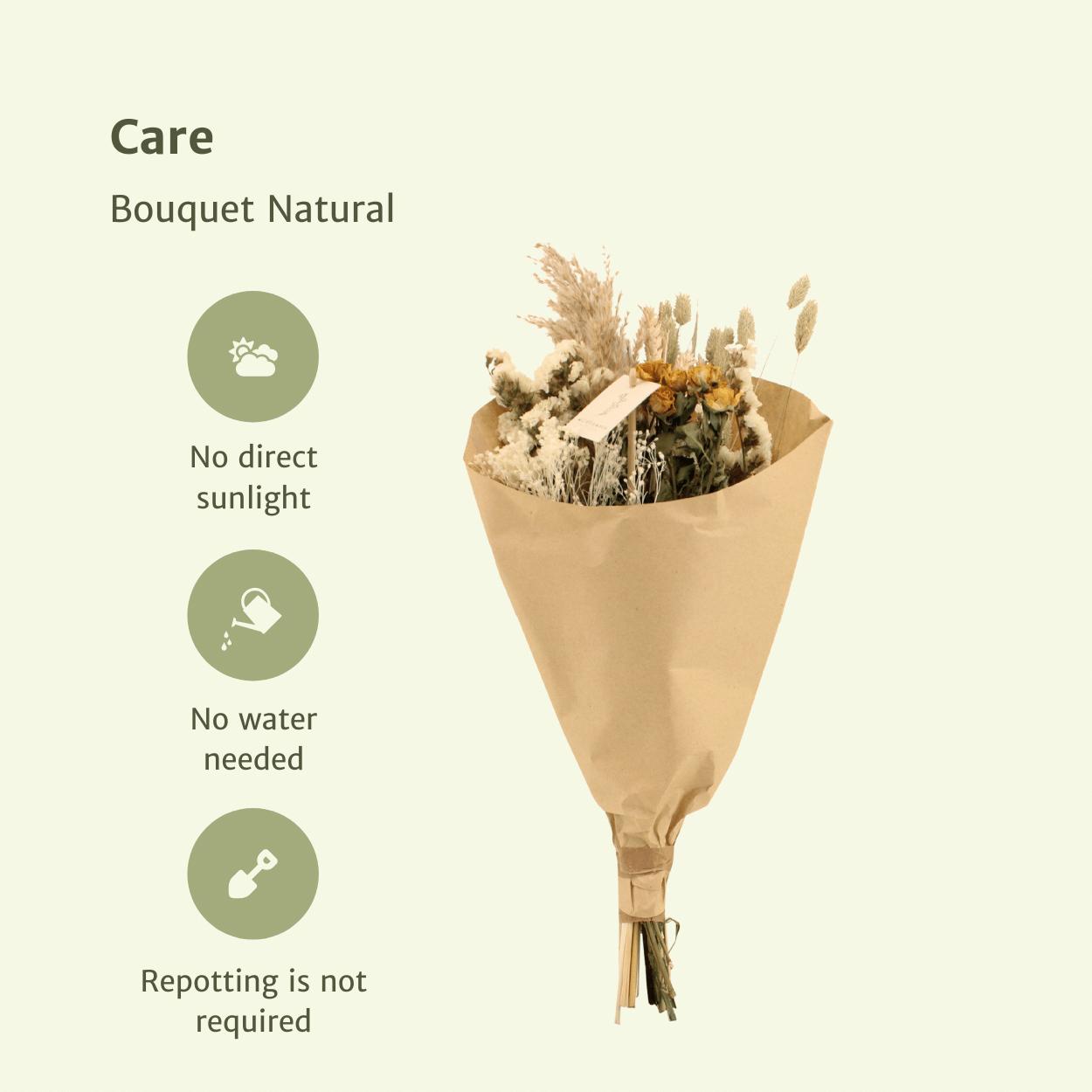 Droogbloemen Veld Boeket Medium - Naturel