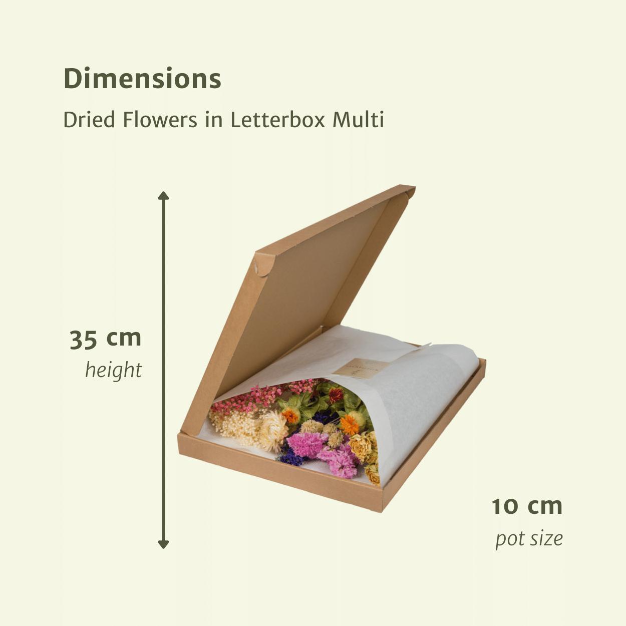 Fleurs séchées dans une boîte aux lettres - Mélange coloré
