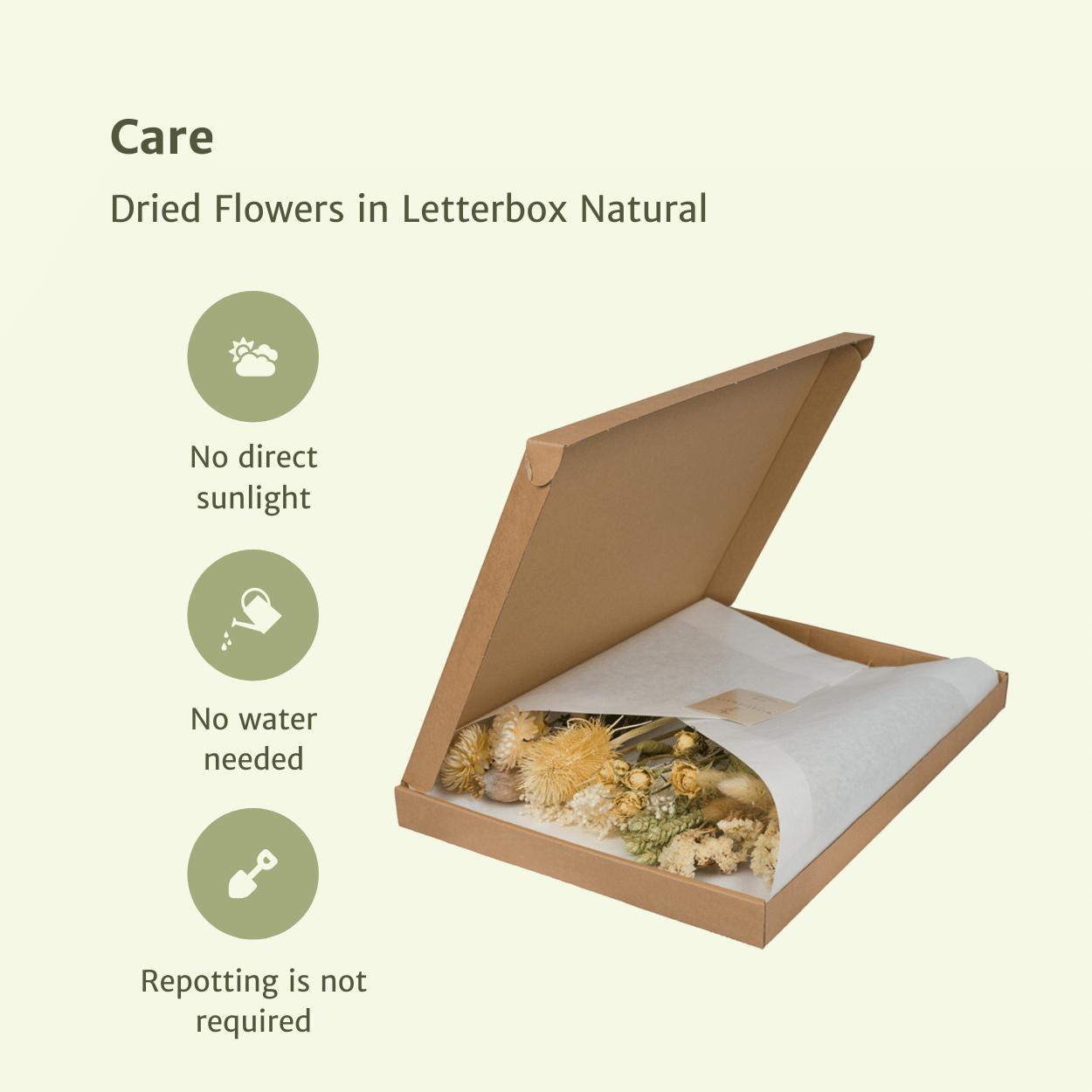 Droogbloemen in Letterbox - Naturel Tinten