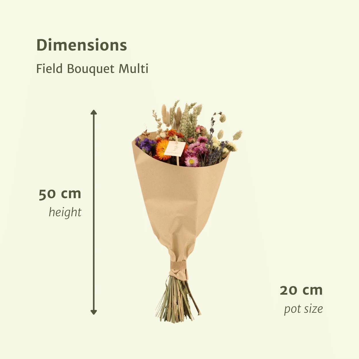 Droogbloemen Veld Boeket Medium - Kleurrijke Mix