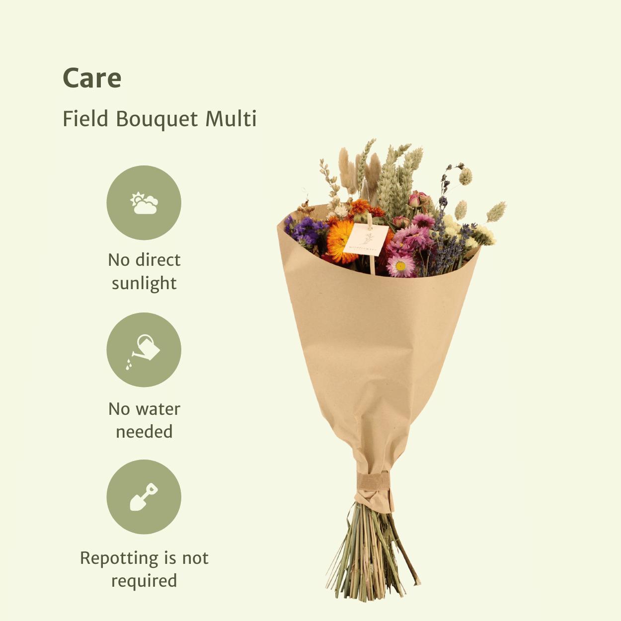 Droogbloemen Veld Boeket Medium - Kleurrijke Mix
