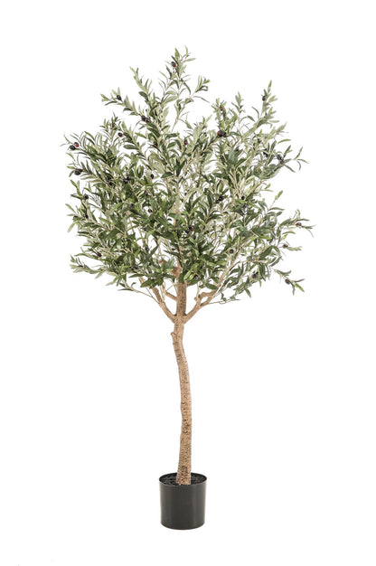 Olivier artificiel - Olea europaea - Olivier - 180 cm