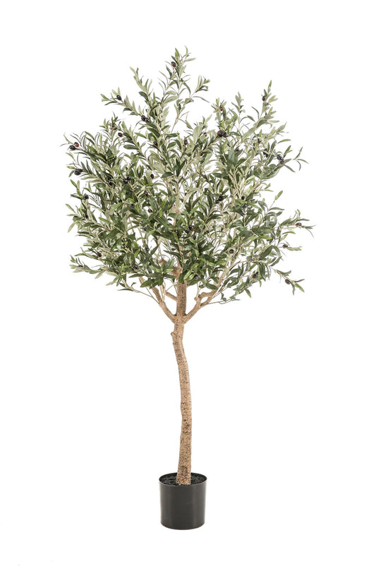 Artificial Olive Tree - Olea europaea - Olive Tree - 180 cm