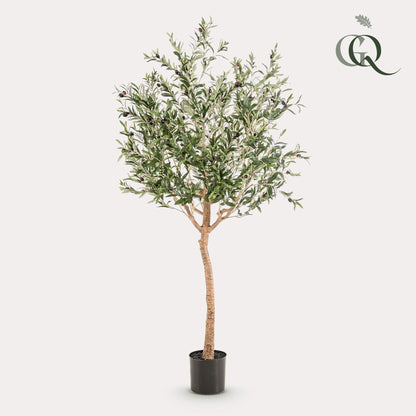 Olivier artificiel - Olea europaea - Olivier - 180 cm