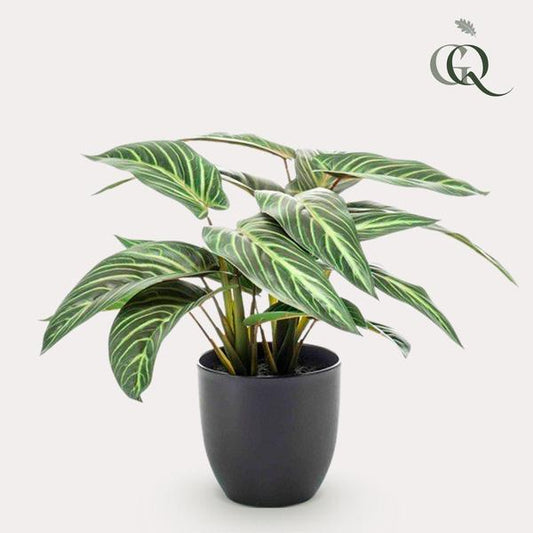 Artificial plant - Calathea Zebrina - Shade plant - 38 cm