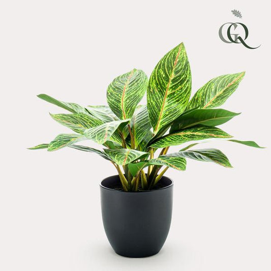 Artificial plant - Croton Codiaeum - Wonder shrub - 38 cm