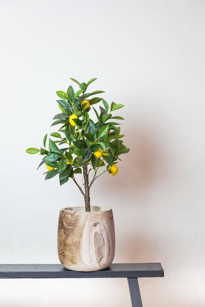 Plante artificielle - Citrus Limonia - Citronnier - 75 cm