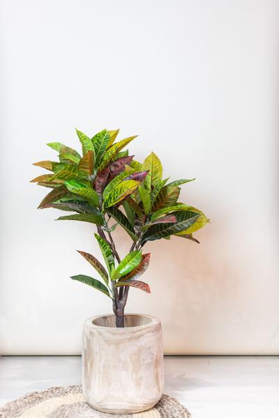 Plante artificielle - Croton Codiaeum - Arbuste merveilleux - 95 cm
