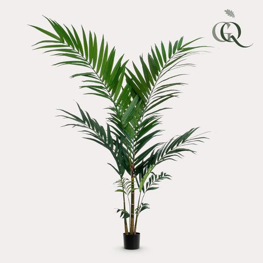 Plante artificielle - Kentia - Palmier Kentia - 150cm