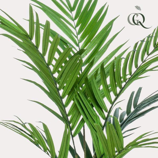 Plante artificielle - Kentia - Palmier Kentia - 180 cm