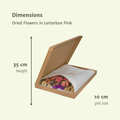 Droogbloemen in Letterbox Multi - Roze Tinten