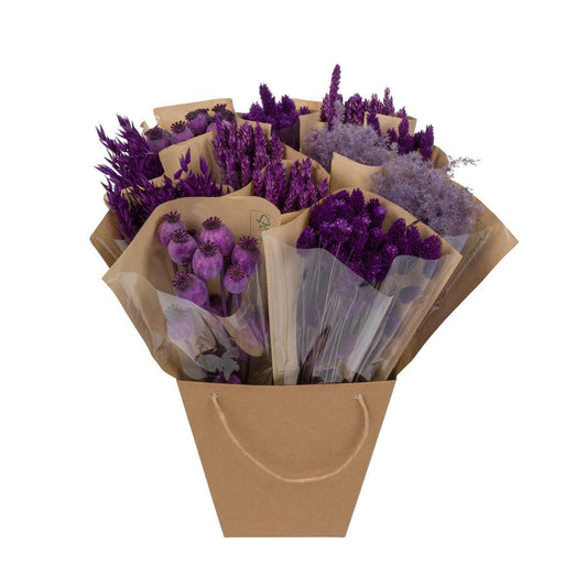 Droogbloemen - Dried Mono Mix - Purple - ↕50cm