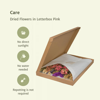 Droogbloemen in Letterbox Multi - Roze Tinten