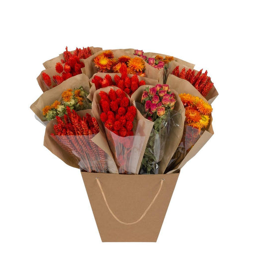 Droogbloemen - Dried Mono Mix - Orange - ↕50cm