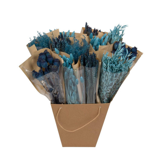 Droogbloemen - Dried Mono Mix - Blue - ↕50cm